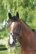 Mark Todd Bridle Padded Grackle - Just Horse Riders