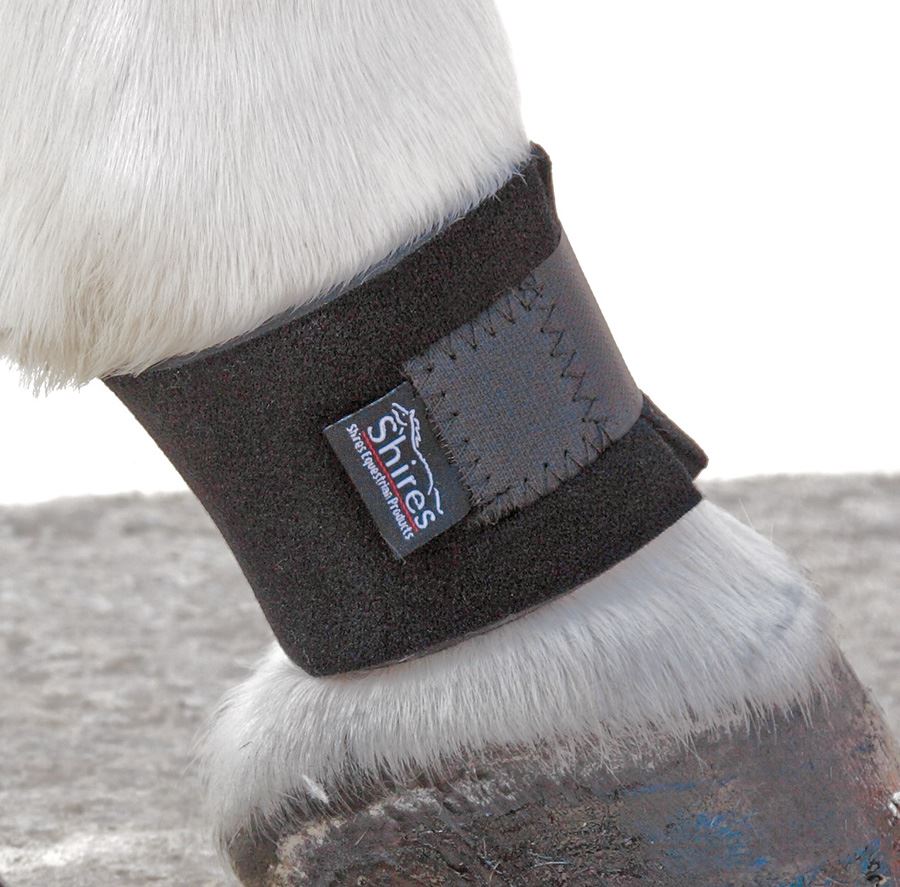 Shires Pastern Wraps - Just Horse Riders