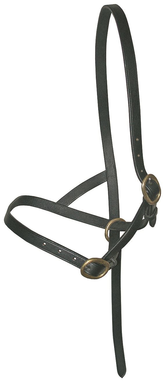 JHL Leather Foal Slip - Just Horse Riders