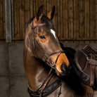 John Whitaker Valencia Premium Flash Bridle (inc. 9-Loop Rubber Reins) - Just Horse Riders