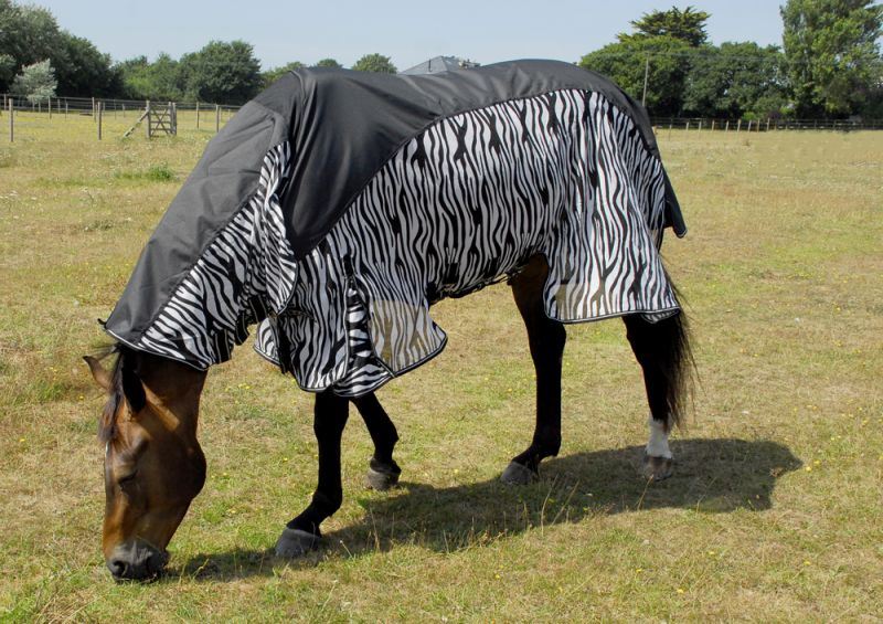 Rhinegold Zambia Fly/Outdoor Rug - Just Horse Riders