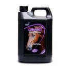 Lillidale Lavender Body Wash - Just Horse Riders