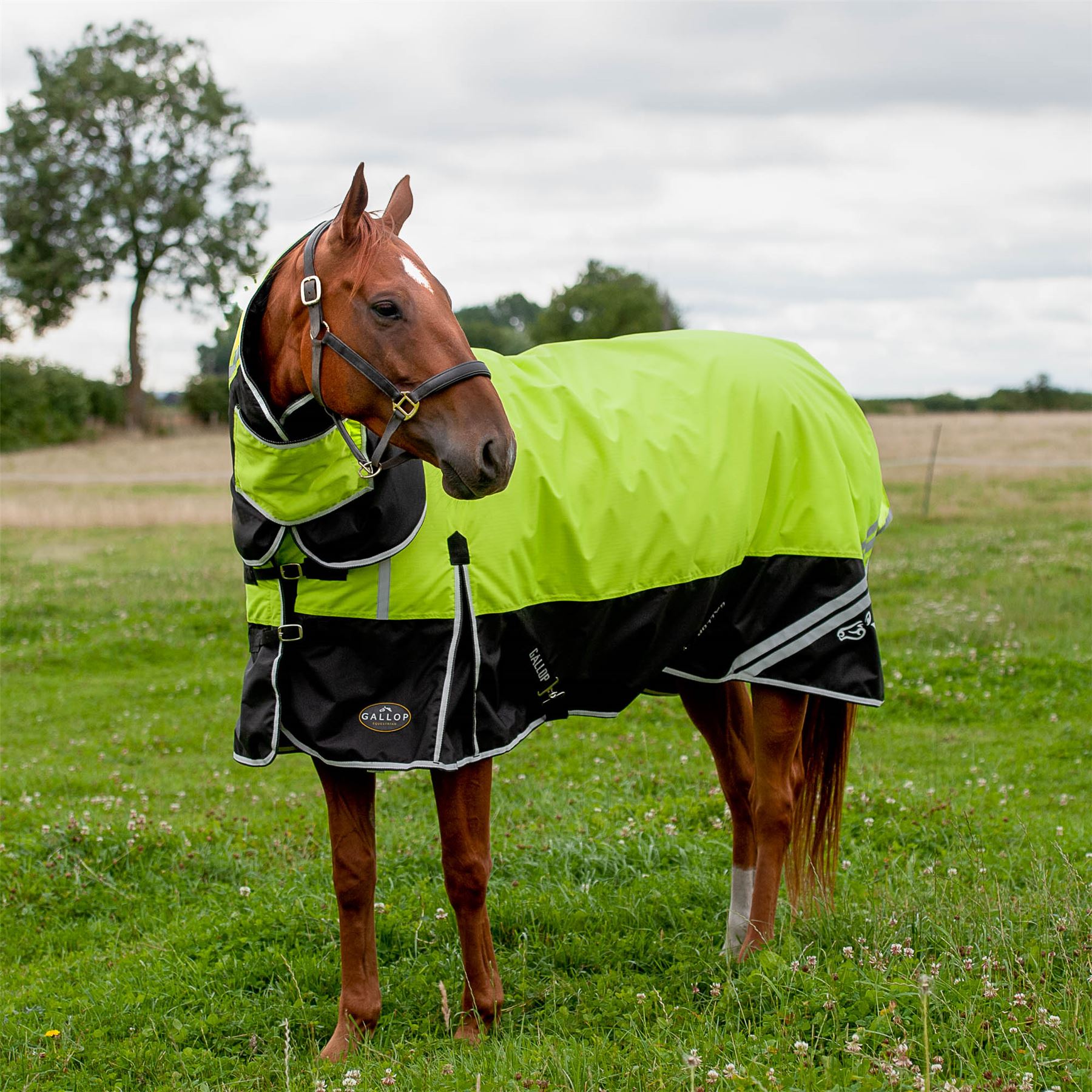 Gallop Equestrian Hi Vis 200G Combo Turnout Rug - Just Horse Riders