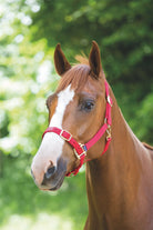 Shires Adjustable Headcollar - Just Horse Riders