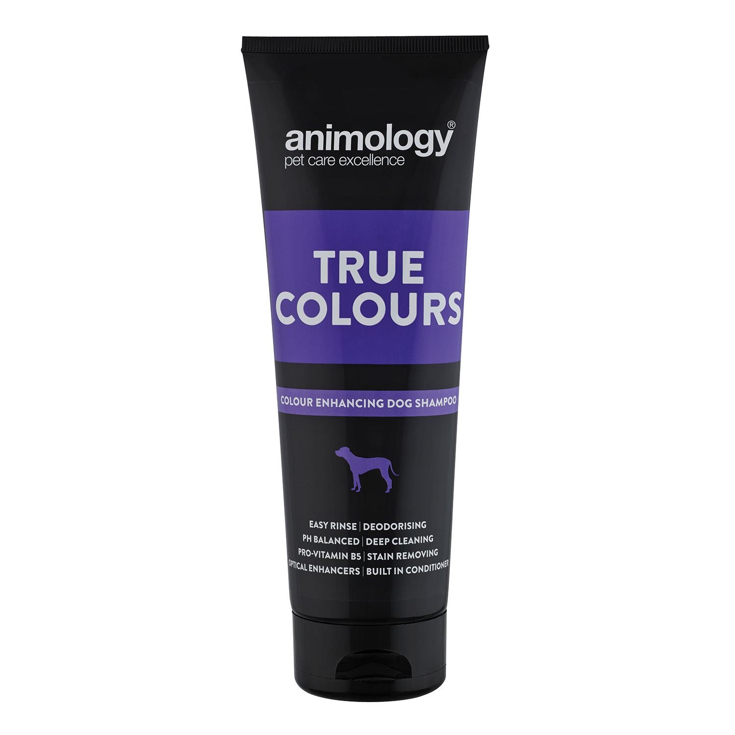 Animology True Colours - Just Horse Riders