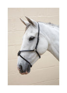 Hy Mexican Grakle Nose Band - Just Horse Riders