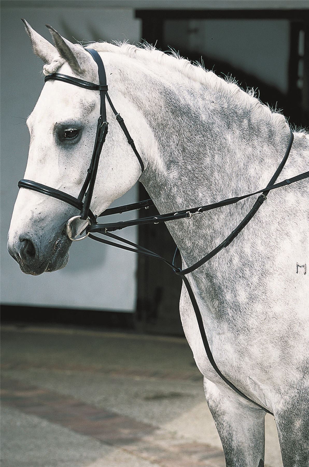 JHL Market Harborough - Just Horse Riders