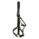 KM Elite Primera Padded Leather Headcollar - Just Horse Riders