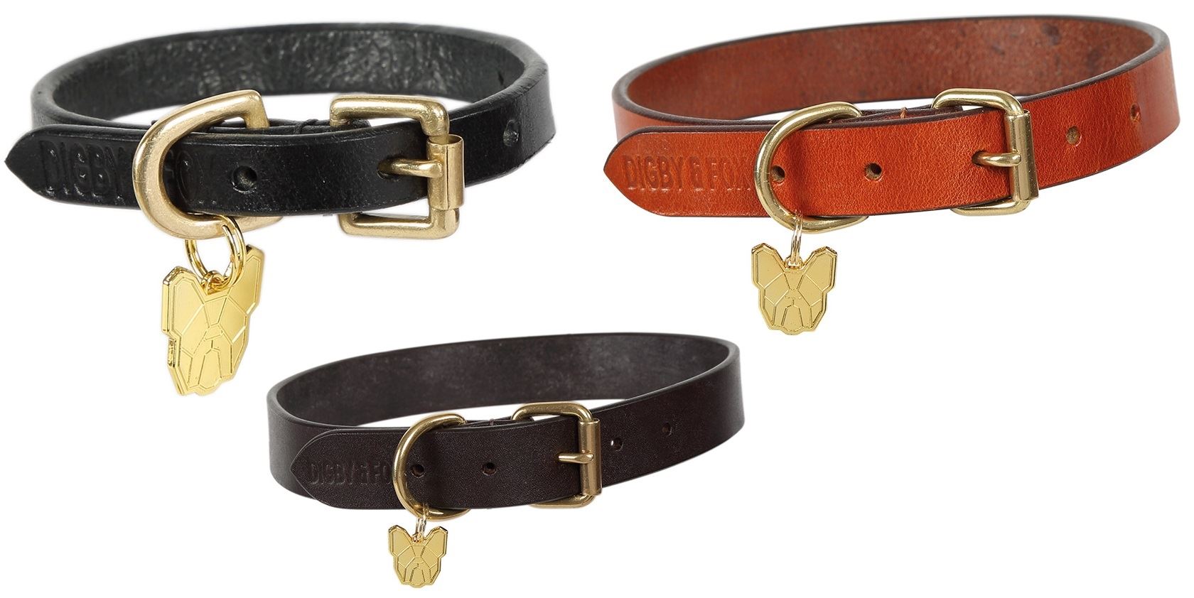 Shires Digby & Fox Flat Leather Dog Collar - Just Horse Riders