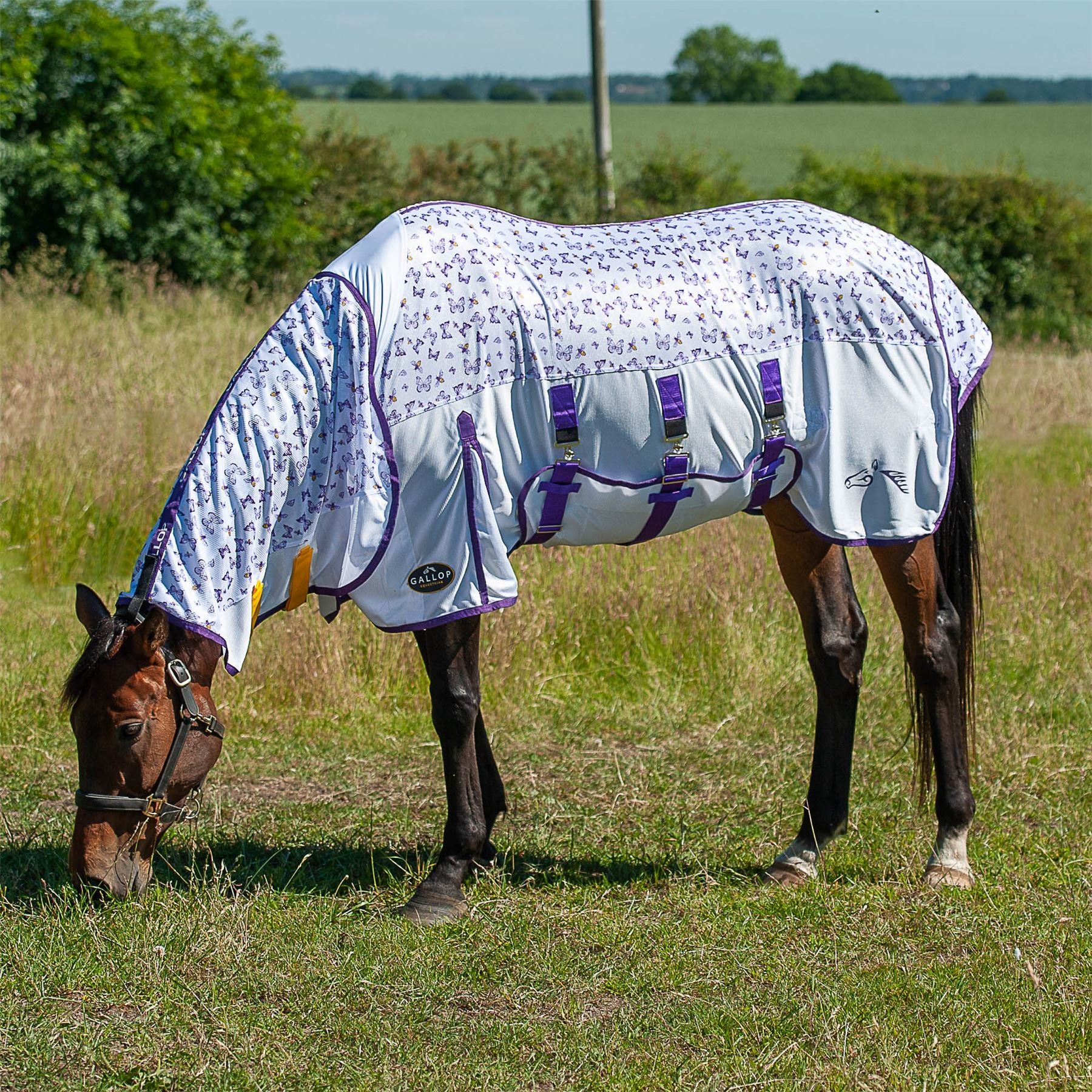 Gallop Equestrian Bees & Butterflies Fly Mesh Combo - Just Horse Riders