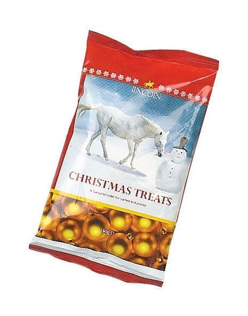 Lincoln Christmas Horse Bix - Just Horse Riders