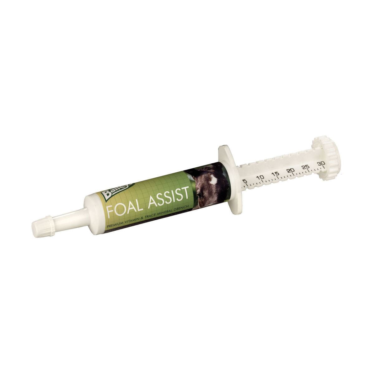 Baileys Foal Assist Syringe - Just Horse Riders