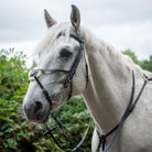Gallop Equestrian Grackle Bridle - Just Horse Riders