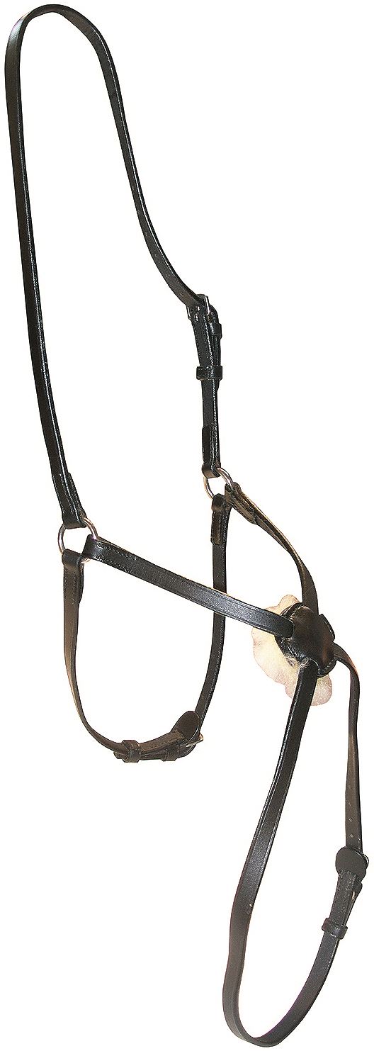 JHL Mexican Grakle Noseband - Just Horse Riders