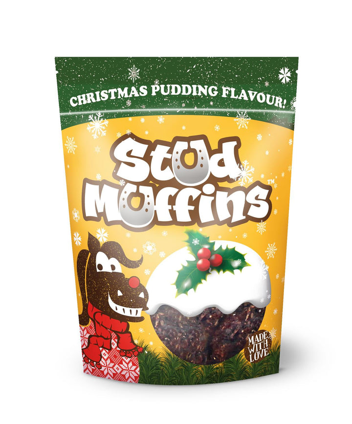 Festive Christmas Pudding Treats for Horses
