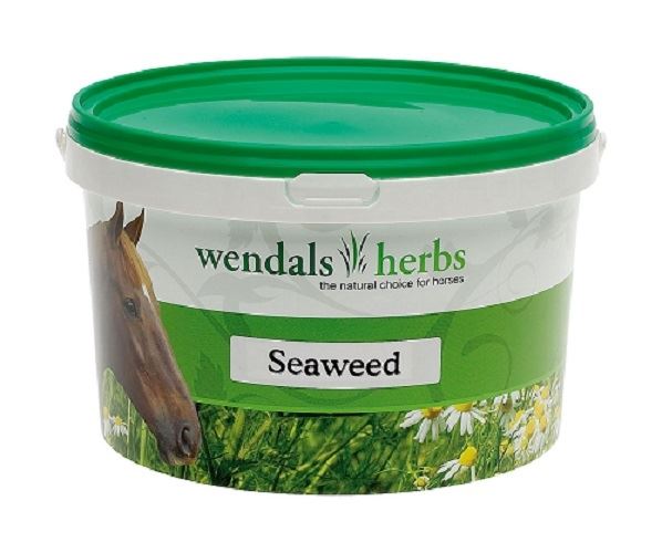 Wendals Seaweed - Just Horse Riders