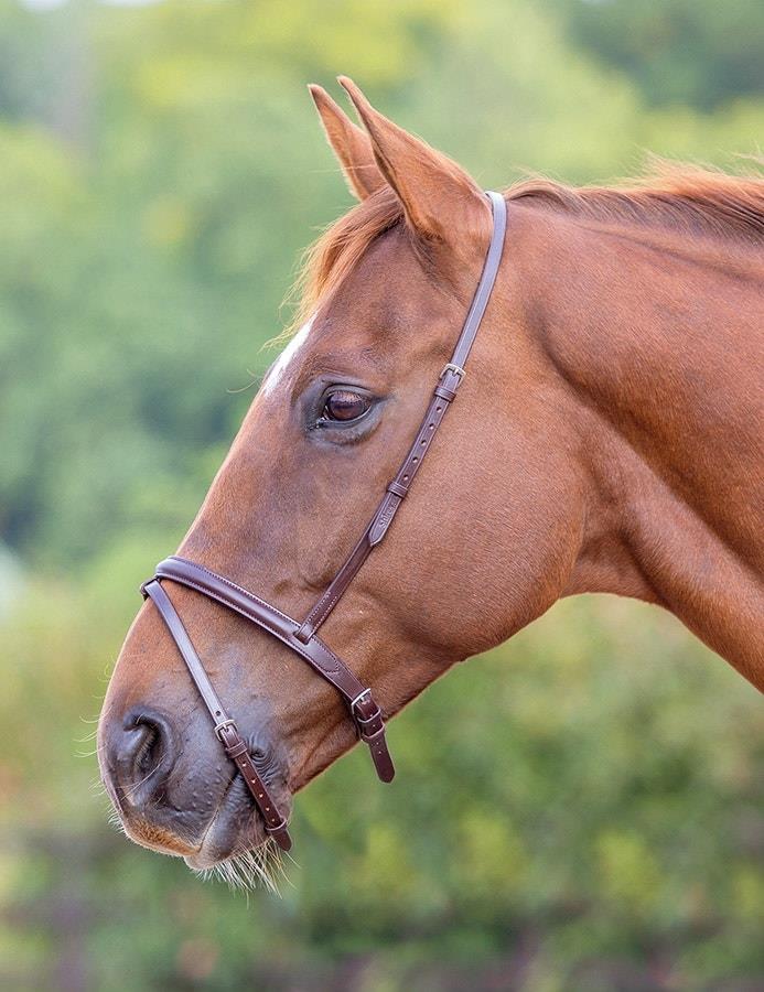 Shires Blenheim Flash Noseband - Just Horse Riders