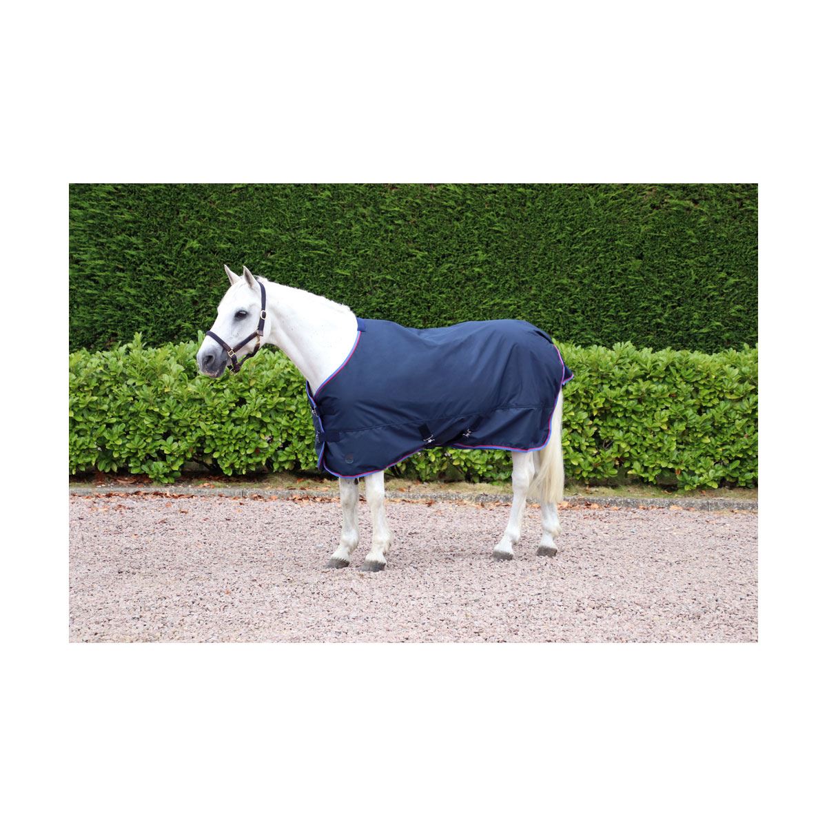 Hy Signature Lightweight 100g Turnout Rug - Just Horse Riders