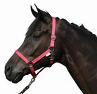 HKM Head Collar Stars Economy - Just Horse Riders
