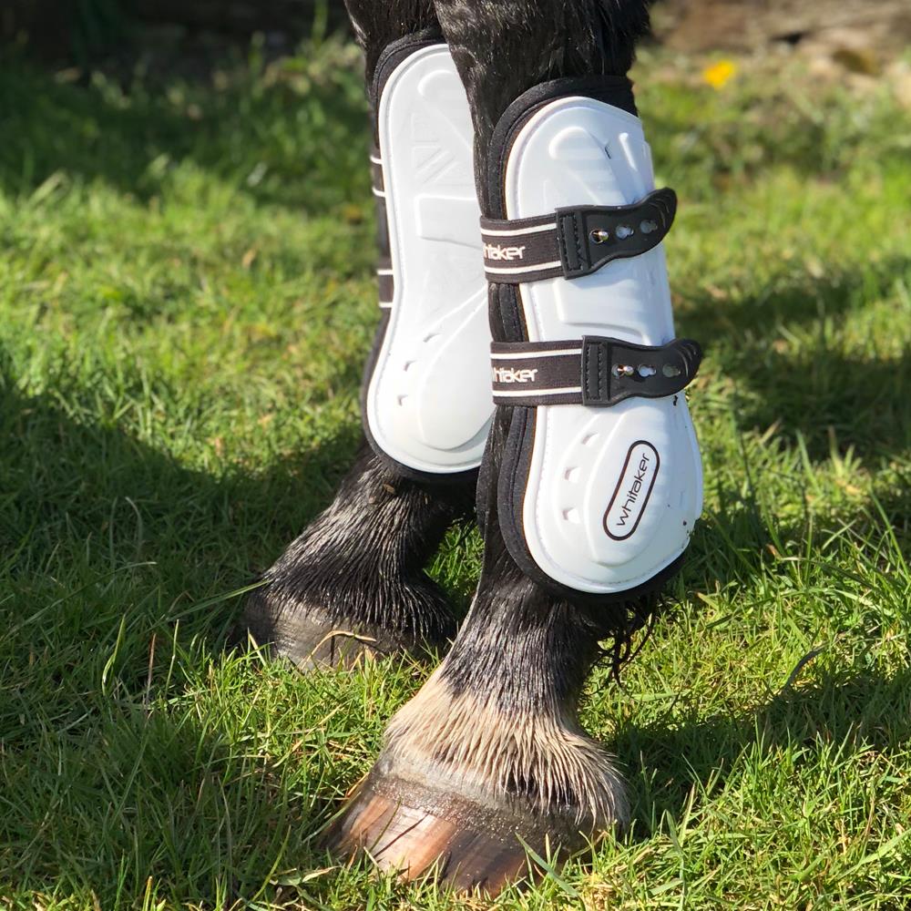 John Whitaker Bingley Competition Tendon Boot Set - Just Horse Riders