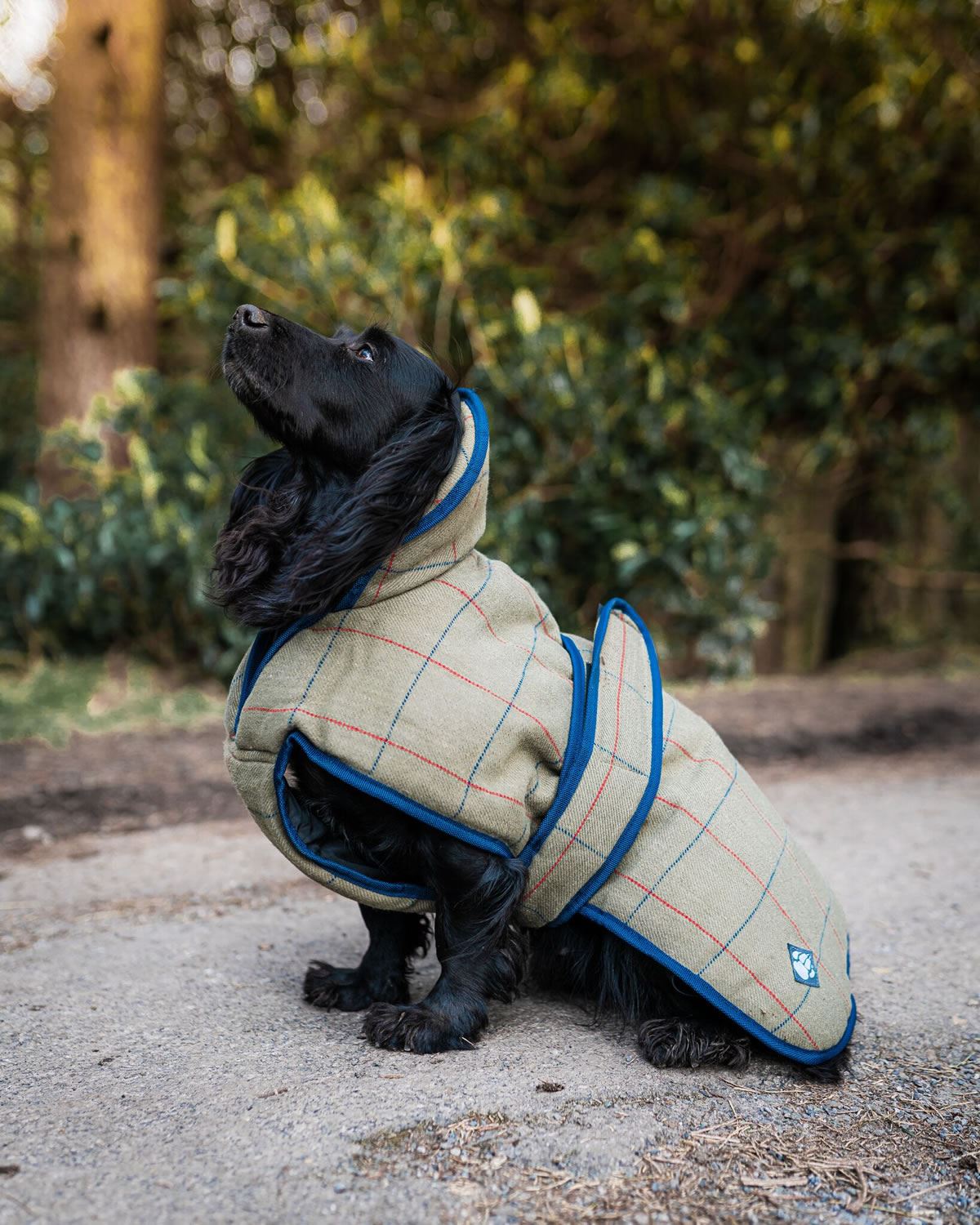 Danish Design Tweed Dog Coat - Just Horse Riders