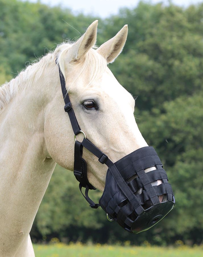 Shires Comfort Grazing Muzzle - Just Horse Riders