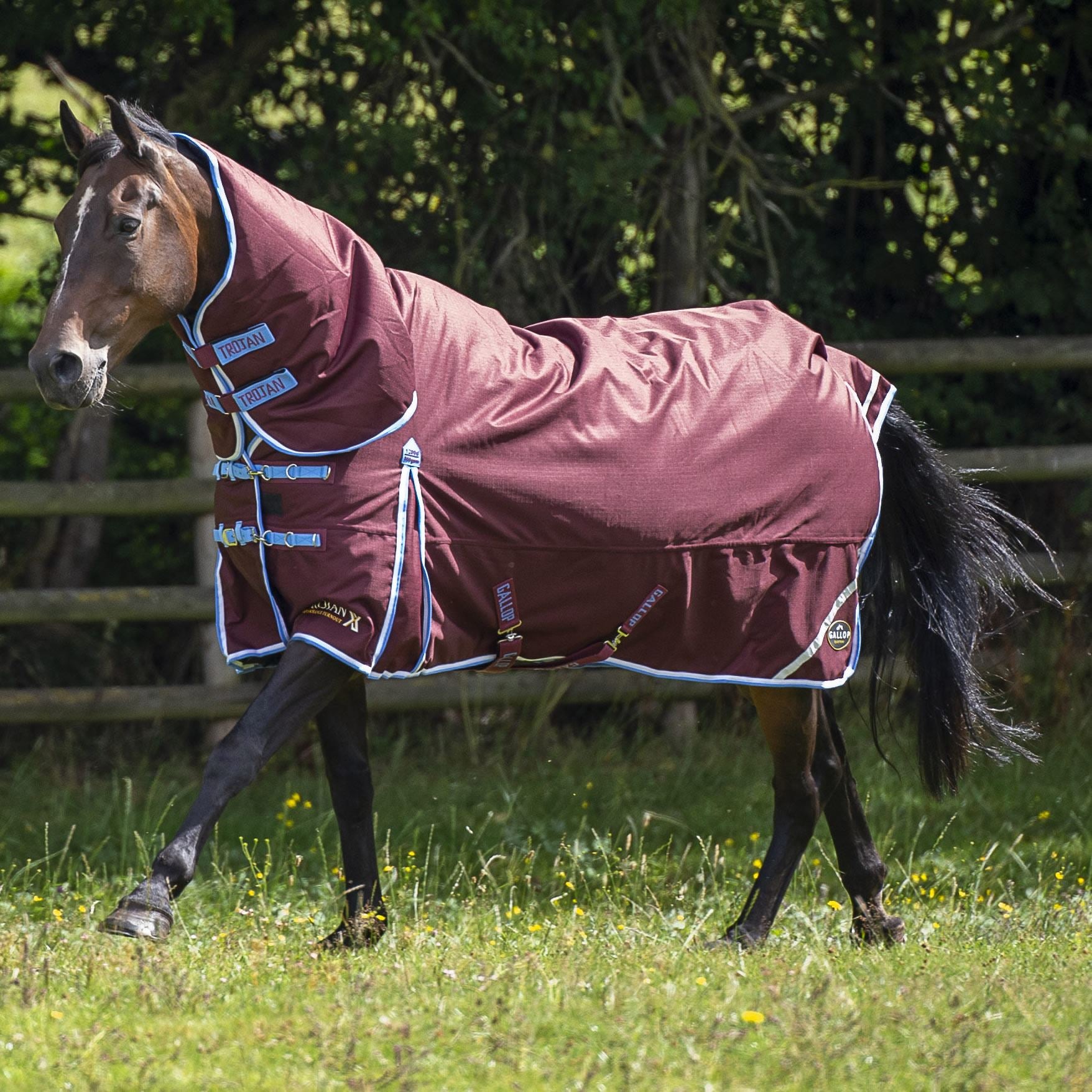 Gallop Equestrian Trojan Xtra 350 Turnout Combo - Just Horse Riders
