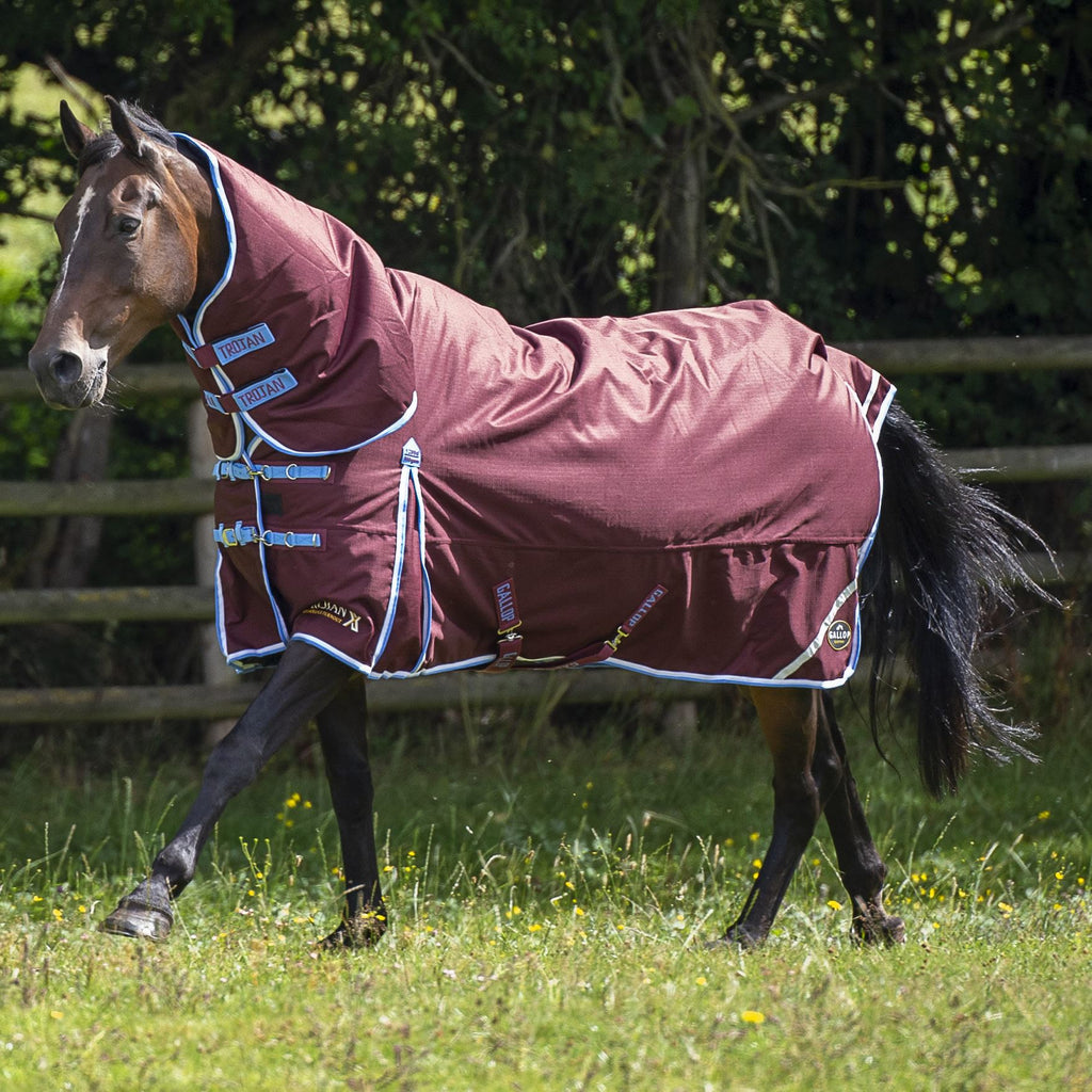 Gallop Equestrian Trojan Xtra 350 Turnout Combo - Just Horse Riders