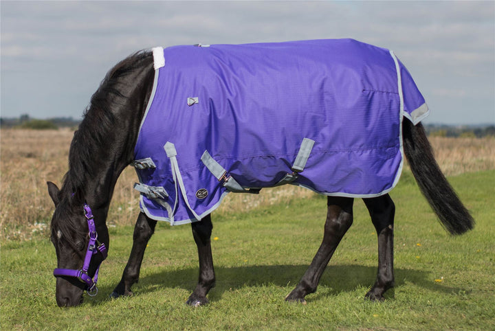 MARK TODD MEDIUMWEIGHT PONY TURNOUT RUG - durable and comfortable for ponies