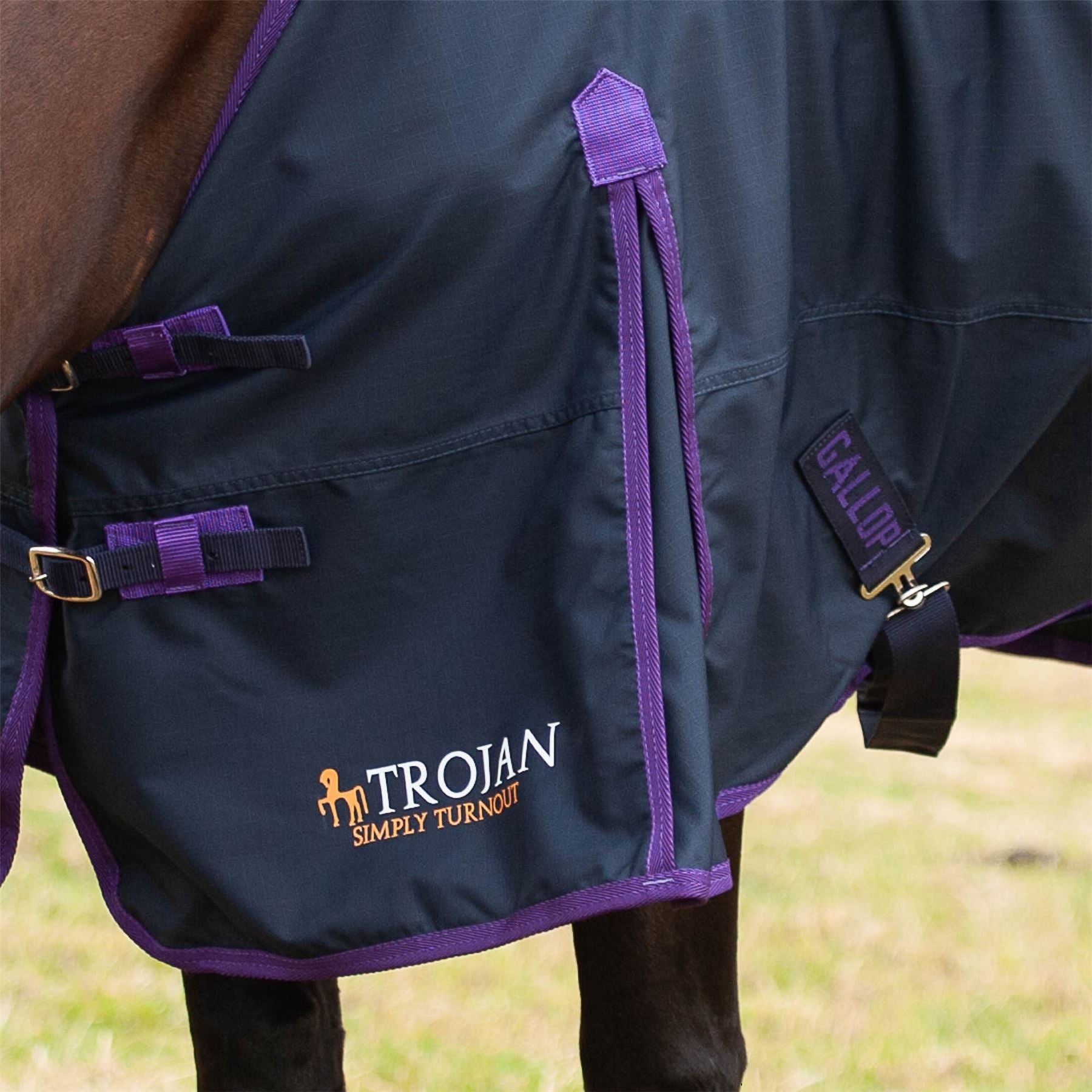 Gallop Equestrian Trojan Light Weight Turnout Rug - Just Horse Riders