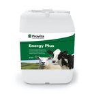 Provita Energy Plus - Just Horse Riders