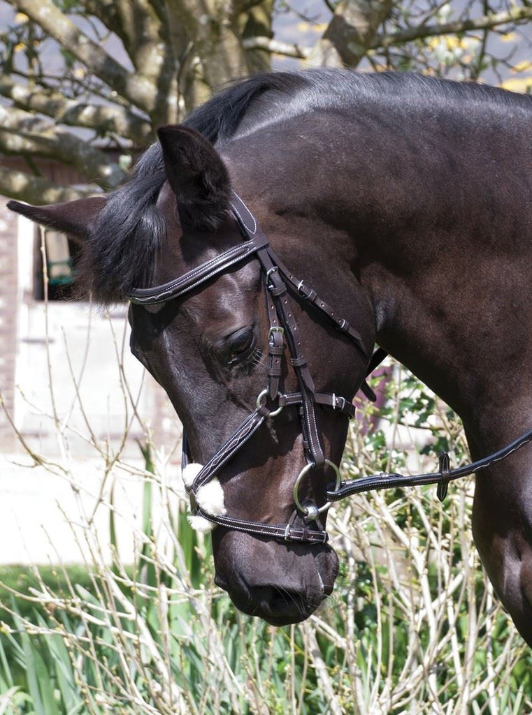 Rhinegold Elegance Stitched Mexican Bridle - Just Horse Riders