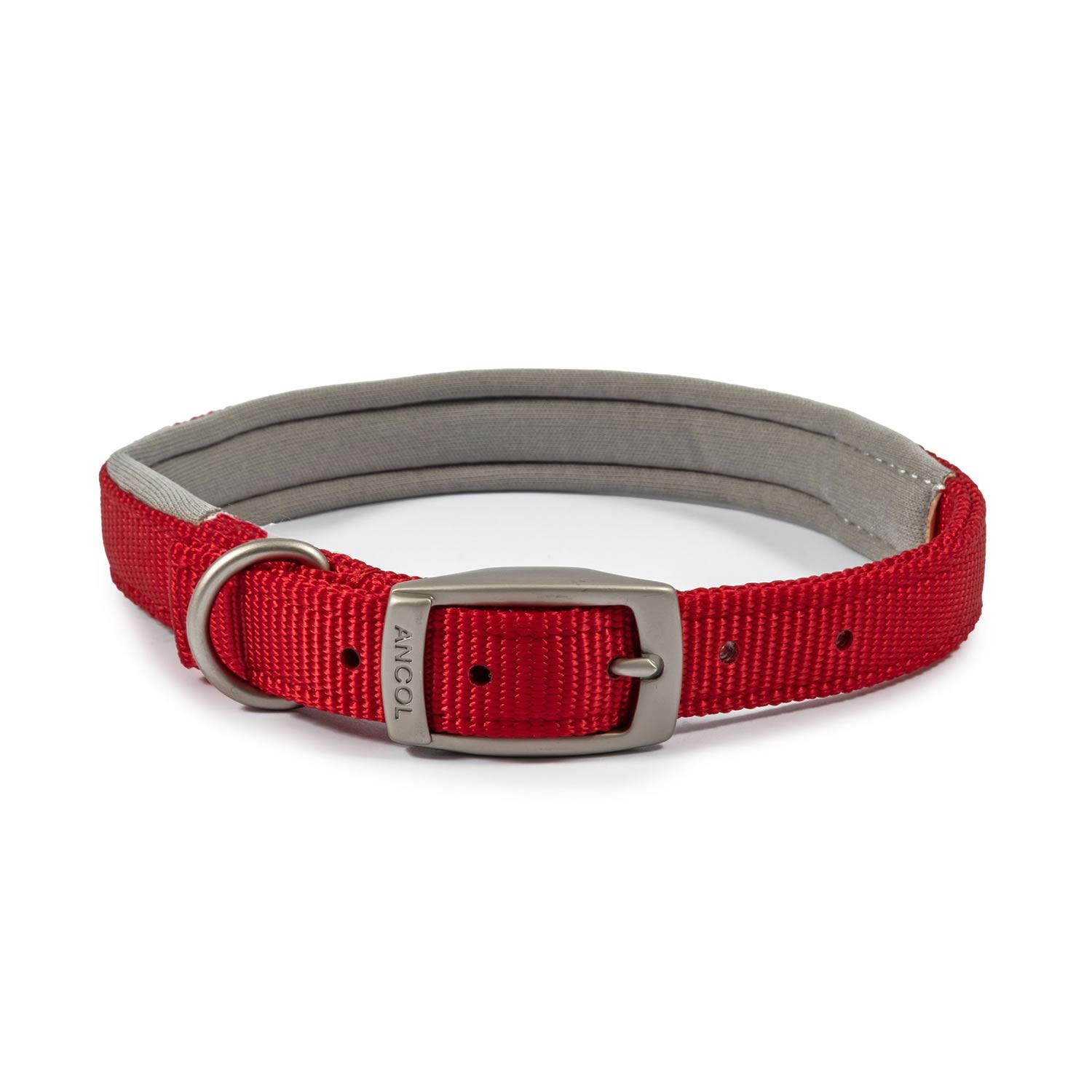 Ancol Viva Padded Buckle Collar - Just Horse Riders