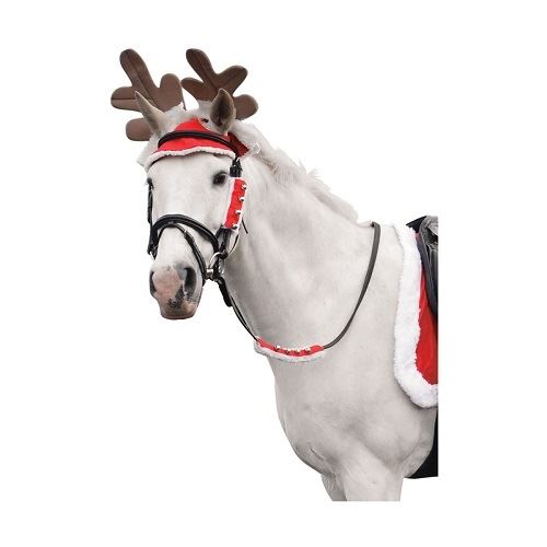 Hy Christmas Santa Horse Leg Wraps (Set of 4) - Just Horse Riders