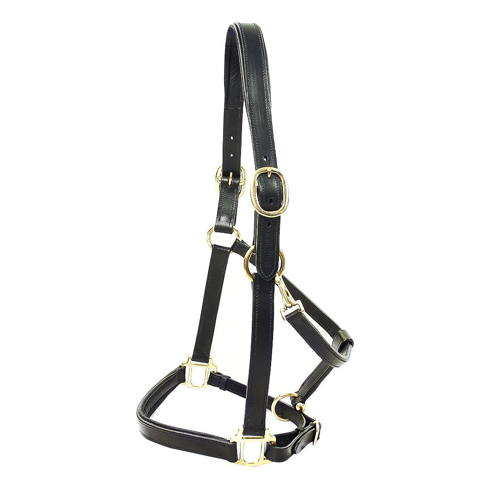 KM Elite Primera Padded Leather Headcollar - Just Horse Riders