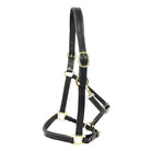 KM Elite Primera Padded Leather Headcollar - Just Horse Riders