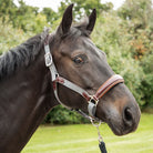 KM Elite Leather Webbing Headcollar - Just Horse Riders
