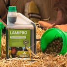 Global Herbs Laminitis Prone Supplement - Just Horse Riders