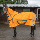 Whitaker Turnout Rug Detach-A-Neck Seacroft - Just Horse Riders