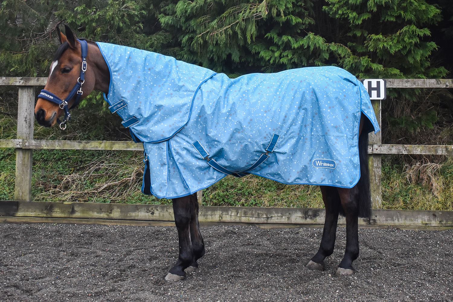 Whitaker Turnout Rug Balby 100 Gm - Just Horse Riders