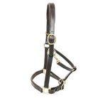 KM Elite Primera Padded Leather Headcollar - Just Horse Riders