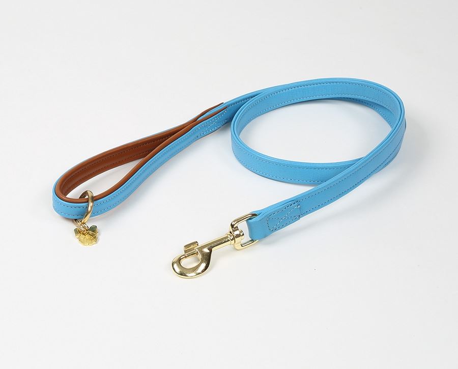 Shires Digby & Fox Padded Leather Dog Lead - Just Horse Riders
