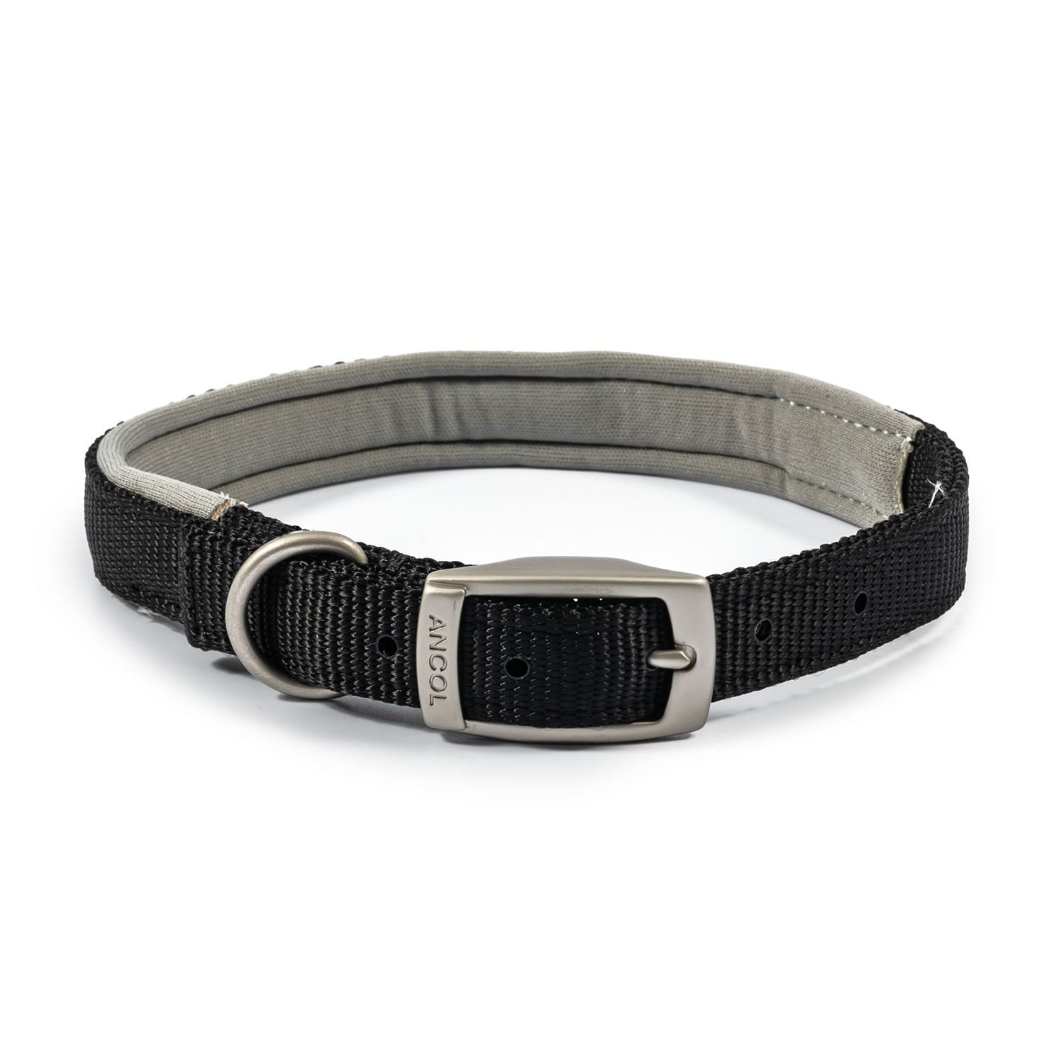 Ancol Viva Padded Buckle Collar - Just Horse Riders