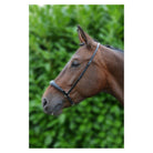 Hy Padded Drop Nose Band - Just Horse Riders