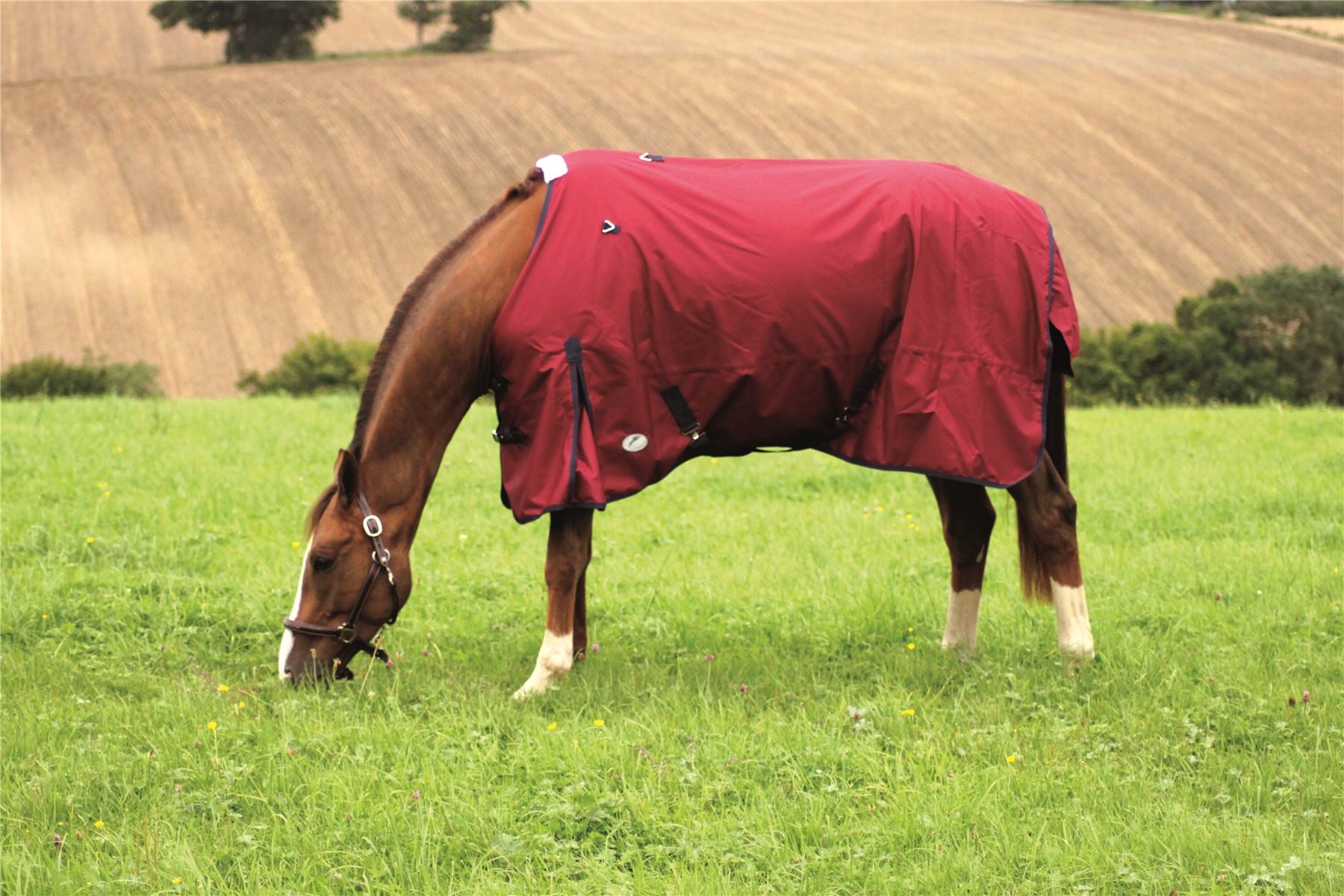 JHL Essential Lightweight Plus Turnout Rug - Just Horse Riders