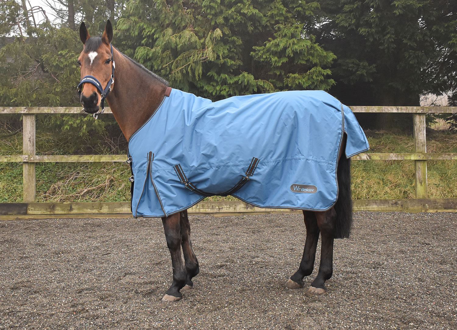 Whitaker Turnout Rug Bordley 50 Gm - Just Horse Riders