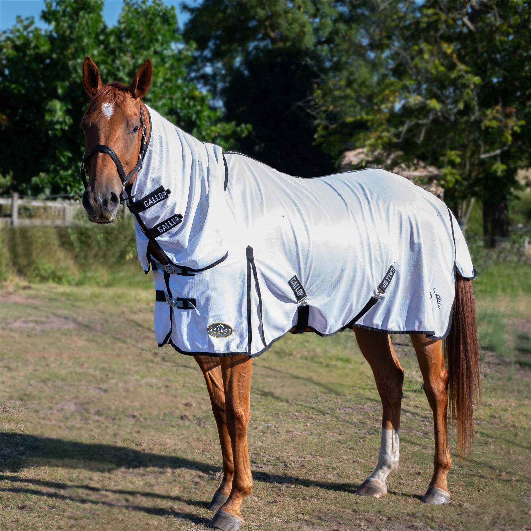 Gallop Equestrian Fly Mesh Combo Rug - Just Horse Riders