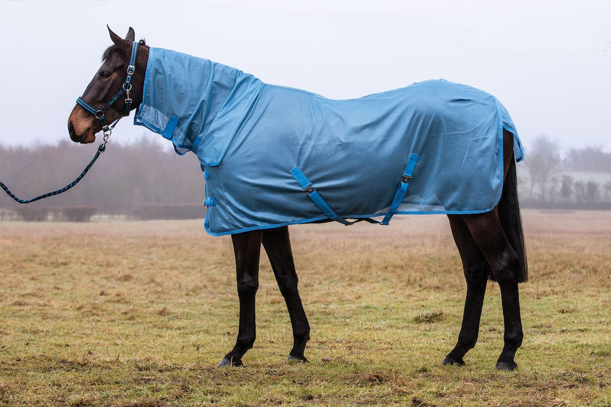 JHL Essential Combo Fly Rug - Just Horse Riders