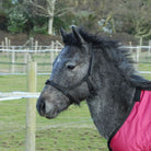Rhinegold Field Safe Foal Headcollar - Just Horse Riders