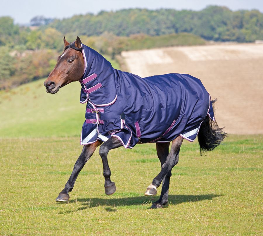Shires Highlander Plus 350 Combo - Just Horse Riders